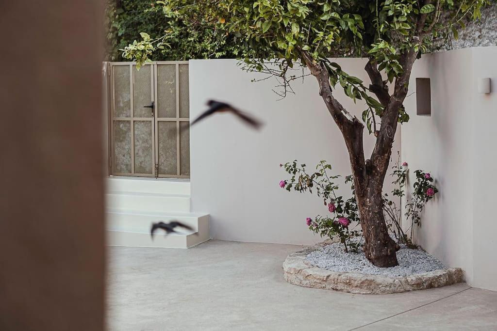 فيلا Lotusland, A Relaxing House At Amari Rethymno Agia Fotini  المظهر الخارجي الصورة